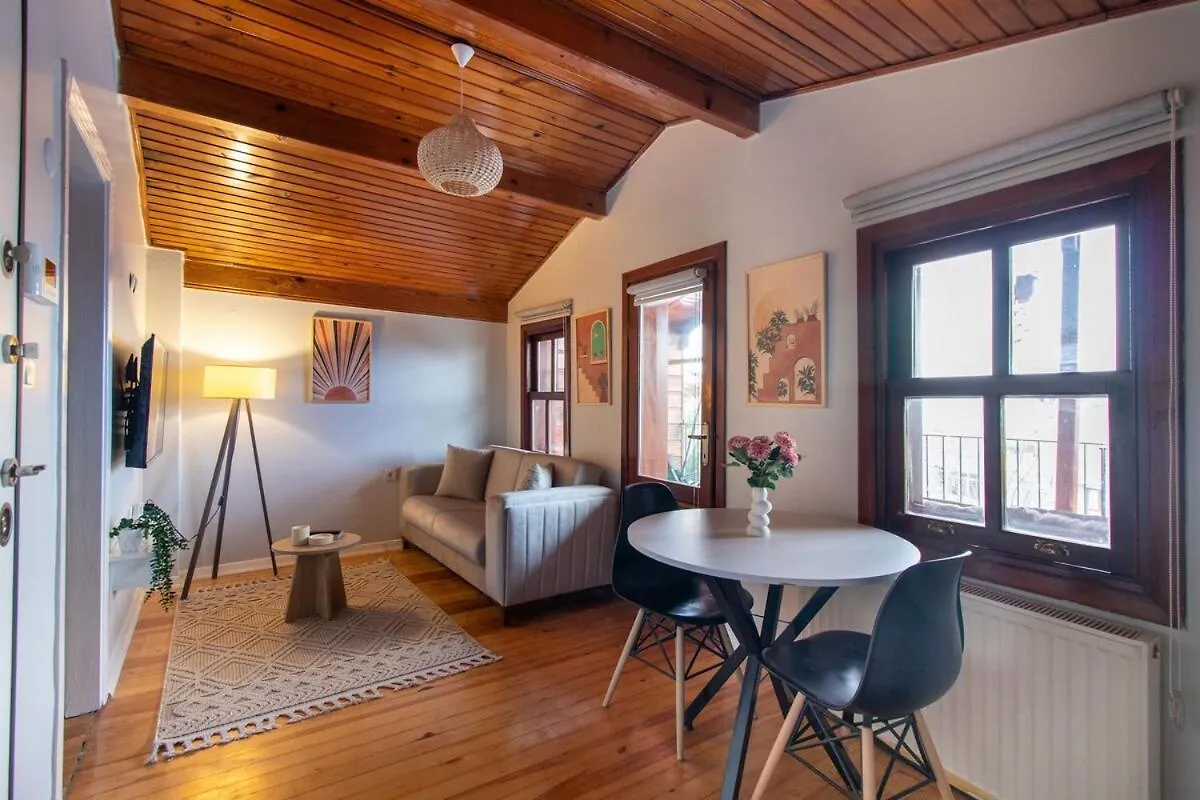 Historic 4Br 4Ba Mansion Seaview Yedikule Old Town Apartment Istanbul