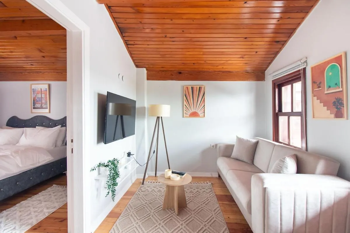 Historic 4Br 4Ba Mansion Seaview Yedikule Old Town Apartment Istanbul