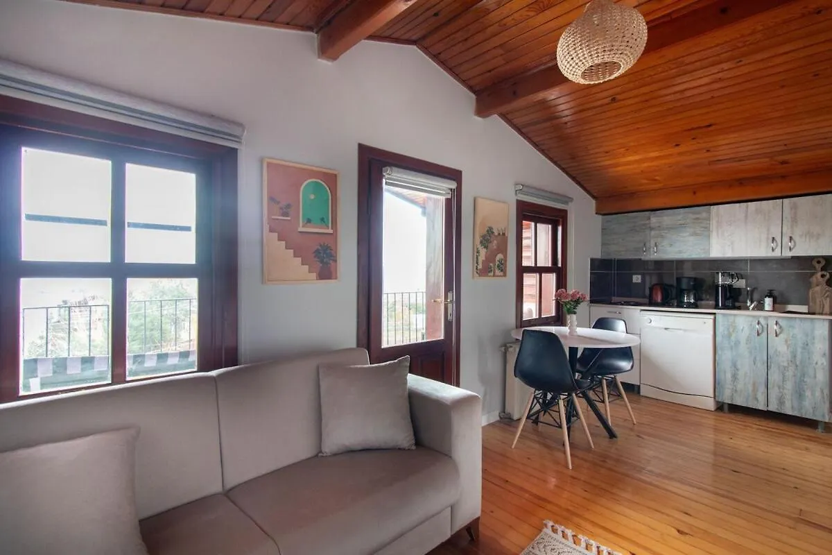 Historic 4Br 4Ba Mansion Seaview Yedikule Old Town Apartment Istanbul 0*,
